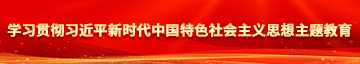 ‘特级操屄网、~l丶学习贯彻习近平新时代中国特色社会主义思想主题教育